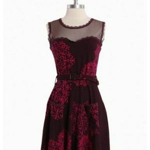 Effie's Heart Jackie in Chantilly